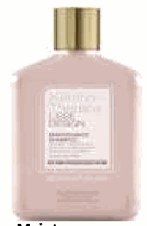 Maintenance Shampoo