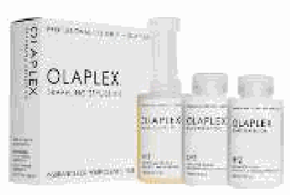 Olaplex Traveling Stylist Kit
