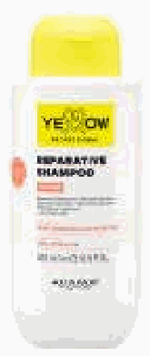 Repair Shampoo